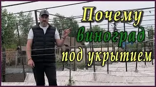 Как УСКОРИТЬ развитие ВИНОГРАДА весной.