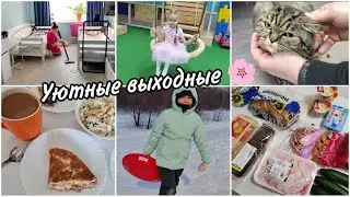 🏠Домашний влог выходного дня. Покупки 👛Мотивация на уборку 🧽🪣Стрижка Джесси🐈‍⬛. На ДР друзей🍭