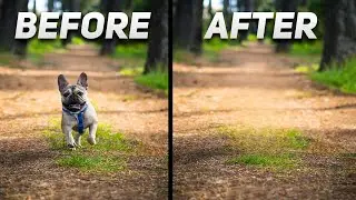 Remove ANYTHING From Your Photos Using AI For FREE (SnapEdit)
