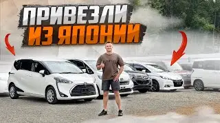 ИНТЕРЕСНЫЕ АВТО ИЗ ЯПОНИИ😍🚘  Цены в августе 2024