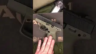 APX A1 Carry Sneak Peek