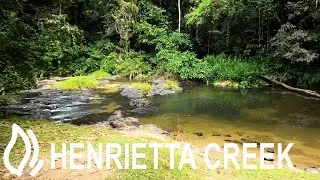 Henrietta Creek Camping Area - Wooroonooran National Park, Queensland