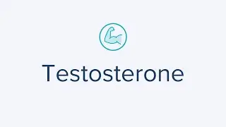 At-Home Testosterone Test to measure testosterone levels & detect possible imbalances