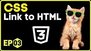 How to Link CSS to HTML?  CSS in Hindi - 3  #css3