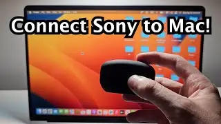 How to Connect Sony Earbuds WF-1000XM5 to MacBook!