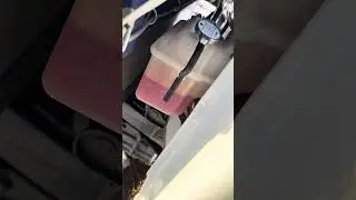 Соллерс Арго. Уходит антифриз?
