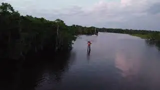 Osprey nest