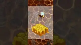 Do You Know How Bees Produce Honey? 🐝🍯