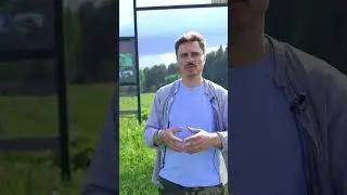 Как сосново у тебя здесь, брат!  🌲🌲🌲