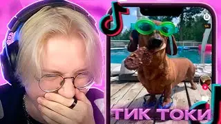 ДРЕЙК СМОТРИТ МЕМЫ ИЗ ТИК ТОКА #38 | Tik Tok
