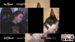 ELLVI Смотрит : UNUSUALMEMES