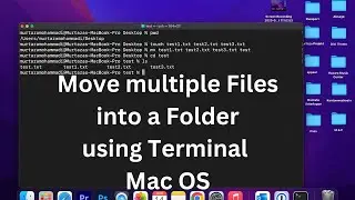 How to move multiple files into a folder using Terminal on Mac OS