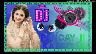 Pandey Ji ka Beta Hu [Bhojpuri] {Remix Dj Song}  No Voice Tag