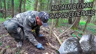 КОПАЕМ В ЕЛКАХ СТАРОЕ СЕЛЕЛИЩЕ. КОП В ЛЕСУ