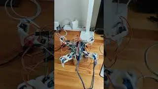 Spider robot calibration test... #arduino #diy #robot #spider