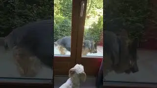 ДРУЖБА НАВСЕГДА❤️😄