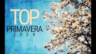 Primavera TOP 2024