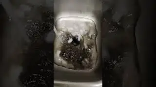 The devil in my sink.