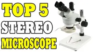 Top 5 Stereo Microscope Review - Best Stereo Microscope 2020