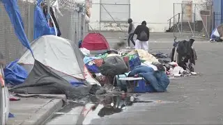 Homeless crisis: 30% of U.S.s unhoused in California