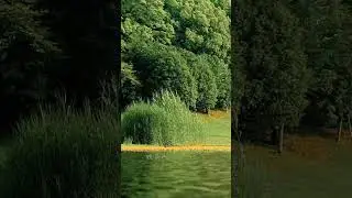 Добавь эту музыку себе в плейлист #music #automobile #bassmusicmix #travel #nature #newmusic #live