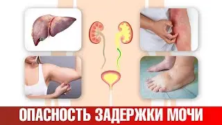 Задержка мочи опасна для здоровья! 📢 Решить проблему можно.