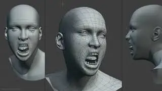 Face Rig