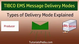 TIBCO EMS Message Delivery Modes | EMS Persistent Message, EMS Non-Persistent, EMS Reliable Delivery