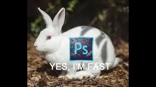 How to make Adobe Photoshop RUN FASTER