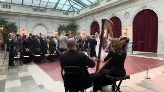 Rey’s Theme from Star Wars, Harp and Violin duo - live Bridal Processional