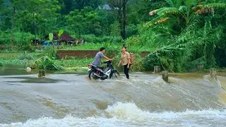 Weather the storm. Picking ripe bananas to sell. Harvesting mussels. Forest life skills DT