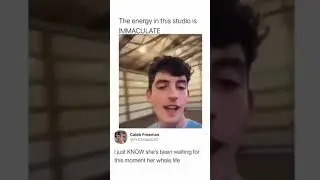 Funny animal videos I found on Instagram and Tiktok 