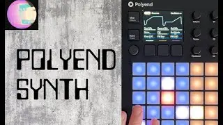 Polyend Synth Review & Tutorial