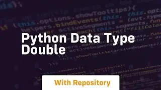 python data type double