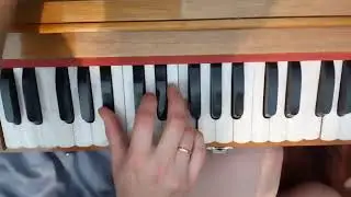 Ядубара пр. Аккорды физгармонь киртан. Chords Maha mantra harmonium tutorial. Jadubara pr.2