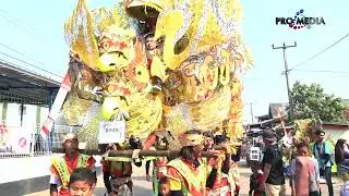 BASAH BASAH | SINGA DANGDUT ARAK ARAKAN PUTRA GENADES | JATIREJA [PRO MEDIA]