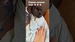 Накупали крошку Тико😘Малышу понравилось