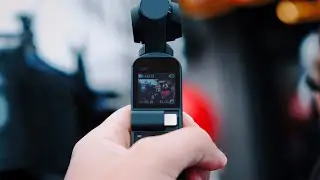 MY FAVORITE CONTENT CREATOR!! 45 DAY DJI OSMO POCKET REVIEW 💪🏼📽👍🏼