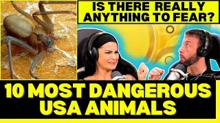 WHAT'S THE MOST DANGEROUS USA ANIMAL?! First Time Reaction To 10 Most Dangerous Animals in the U.S!