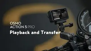 Osmo Action 5 Pro｜Playback and Transfer