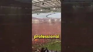 Are soccer fans the best fans?