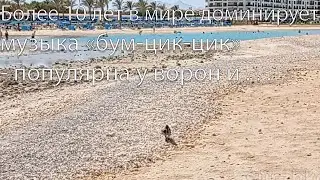 Египет, Хургада, HURGHADA, Красное Море - 08.10.2024