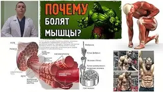 Боль в мышцах. Забитость мышц. После тренировки. Muscle Pain