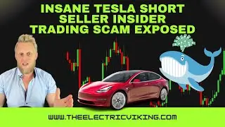 INSANE Tesla short seller insider trading SCAM exposed