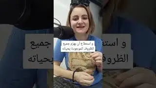 ثلاث أشخاص لا تجرب تتحداهم أبدًا ⚠️