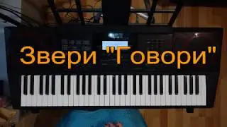 Звери 