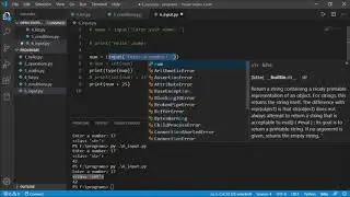 9. Input Function in Python - Python Tutorials