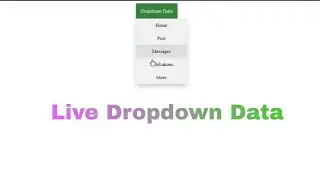 How to make dropdown data system with html css js php provider by Life Toor