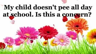 My child doesn't pee all day at school