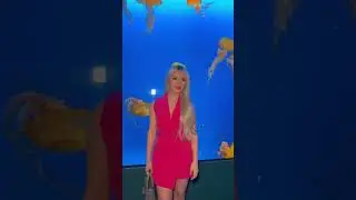 Dinner in the aquarium 🫶🏼#short#shorts#shortsvideo#shortvideo#aquarium#dinner#outfit#fashion#style